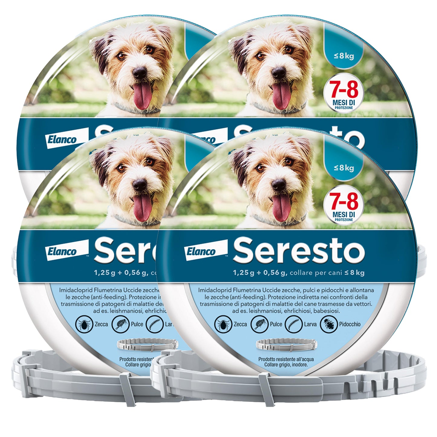 Seresto® Collare Antiparassitario Piccoli Cani Elimina Protezione Pulci Zecche Cani piccoli - fino a 8kg