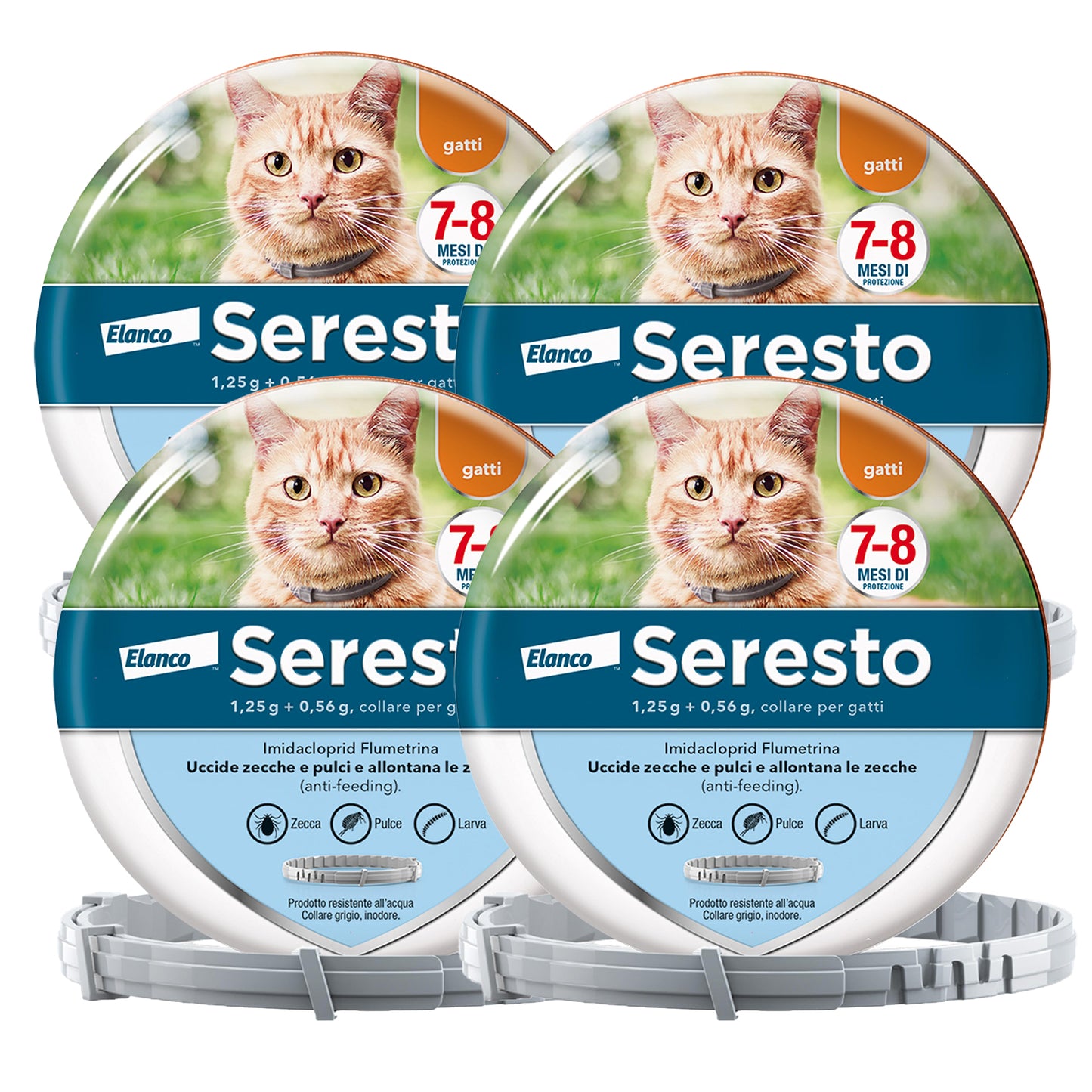 Seresto® Collare Antiparassitario Gatti Elimina Protezione Pulci Zecche