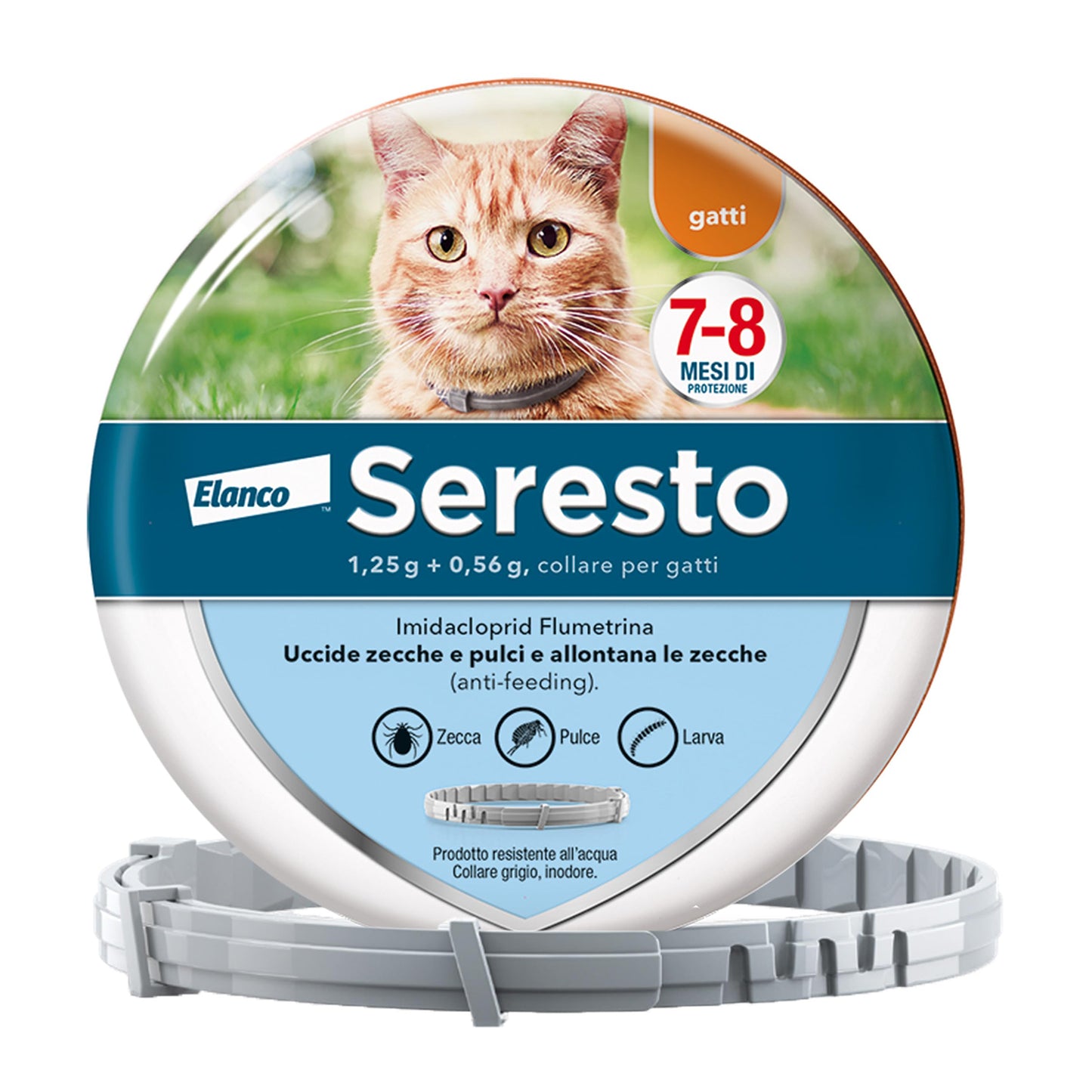 Seresto® Collare Antiparassitario Gatti Elimina Protezione Pulci Zecche