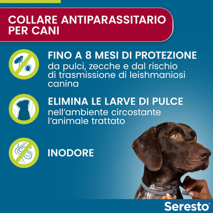 Seresto® Collare Antiparassitario Media /Grande Cani Elimina Protezione Pulci Zecche Cani grandi - oltre 8kg