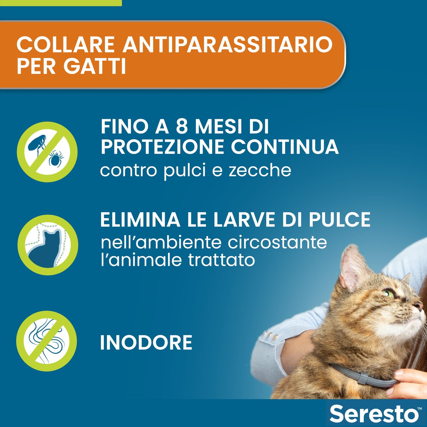 Seresto® Collare Antiparassitario Gatti Elimina Protezione Pulci Zecche