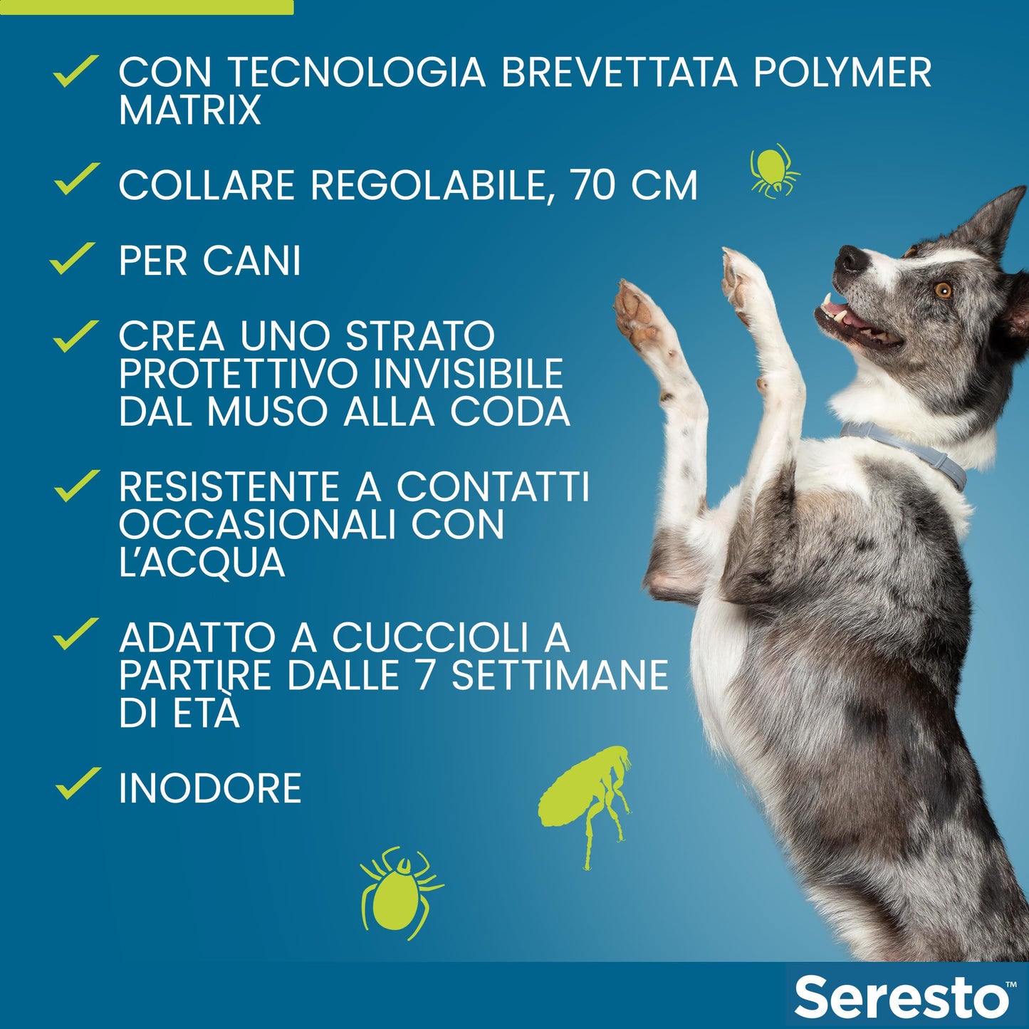 Seresto® Collare Antiparassitario Piccoli Cani Elimina Protezione Pulci Zecche Cani piccoli - fino a 8kg