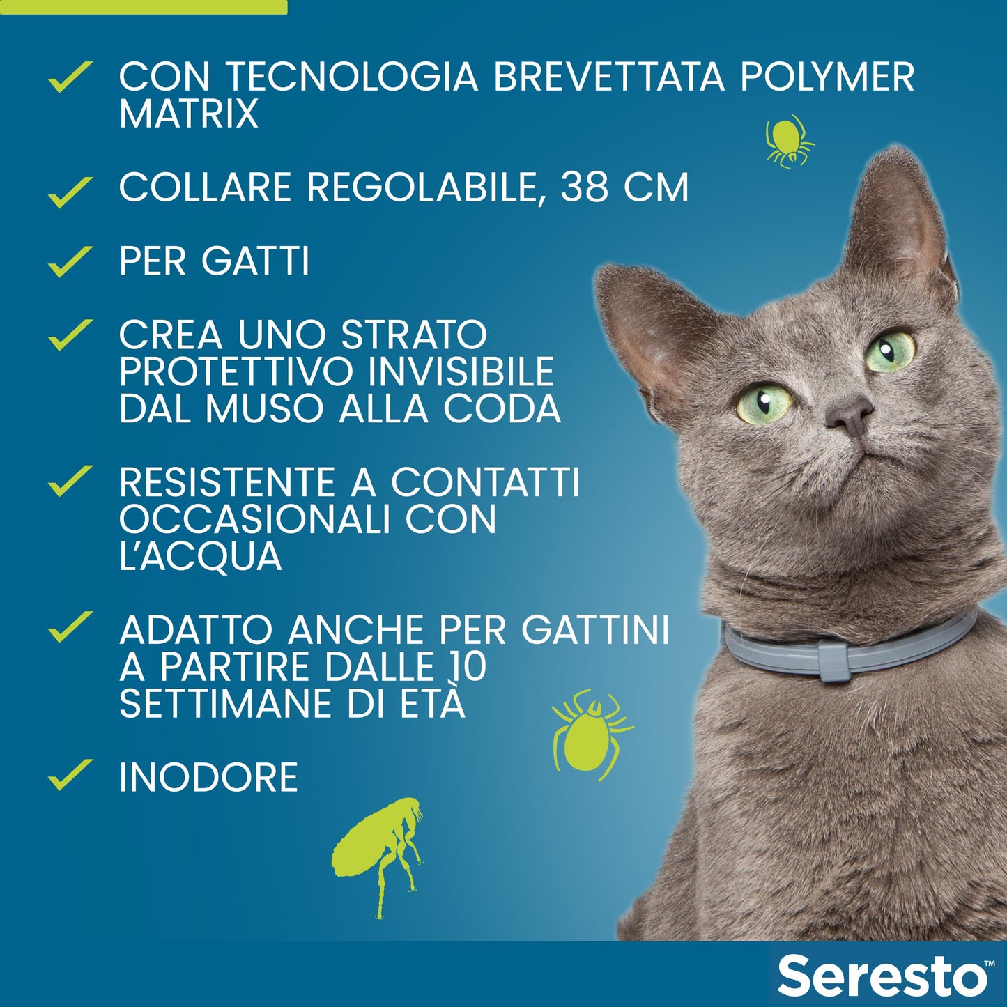 Seresto® Collare Antiparassitario Gatti Elimina Protezione Pulci Zecche