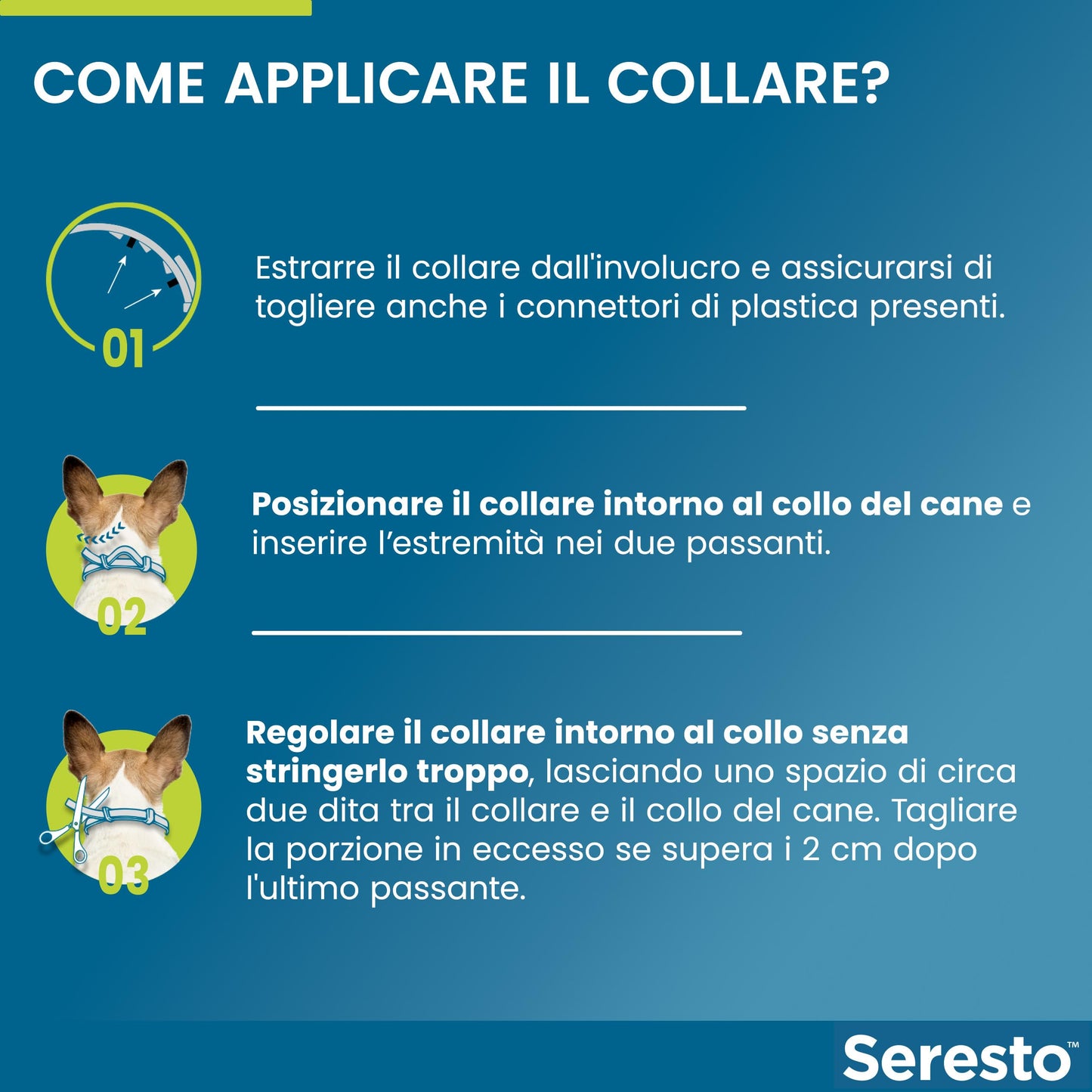Seresto® Collare Antiparassitario Piccoli Cani Elimina Protezione Pulci Zecche Cani piccoli - fino a 8kg